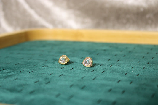 EAR2001-GOL Earring Studs Stainless Steel Gold Plated