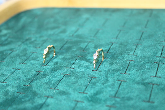 EAR2016-GOL Earring Stainless Steel Gold Plated