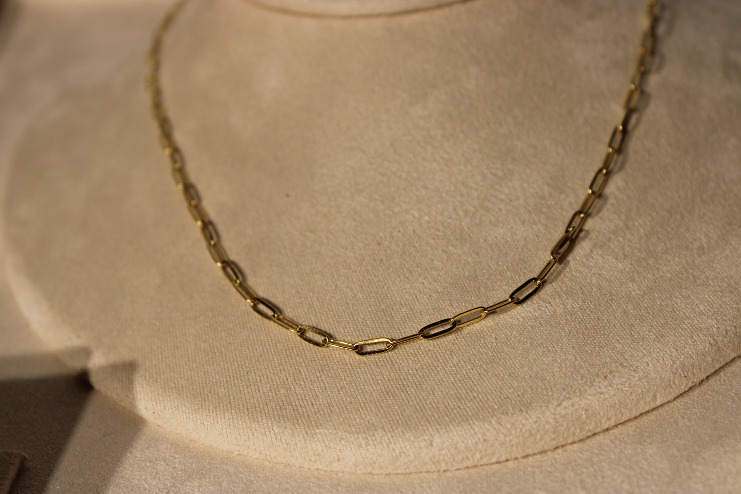 NEC3805-GOL Necklace Stainless Steel Gold Plated 40+5cm