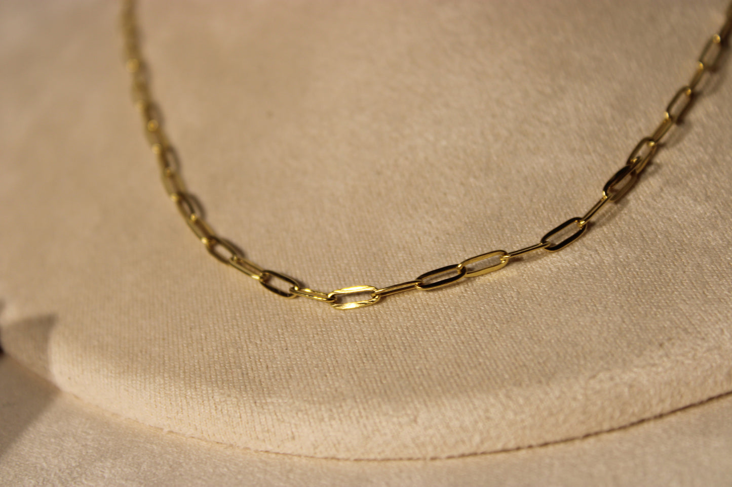 NEC3805-GOL Necklace Stainless Steel Gold Plated 40+5cm