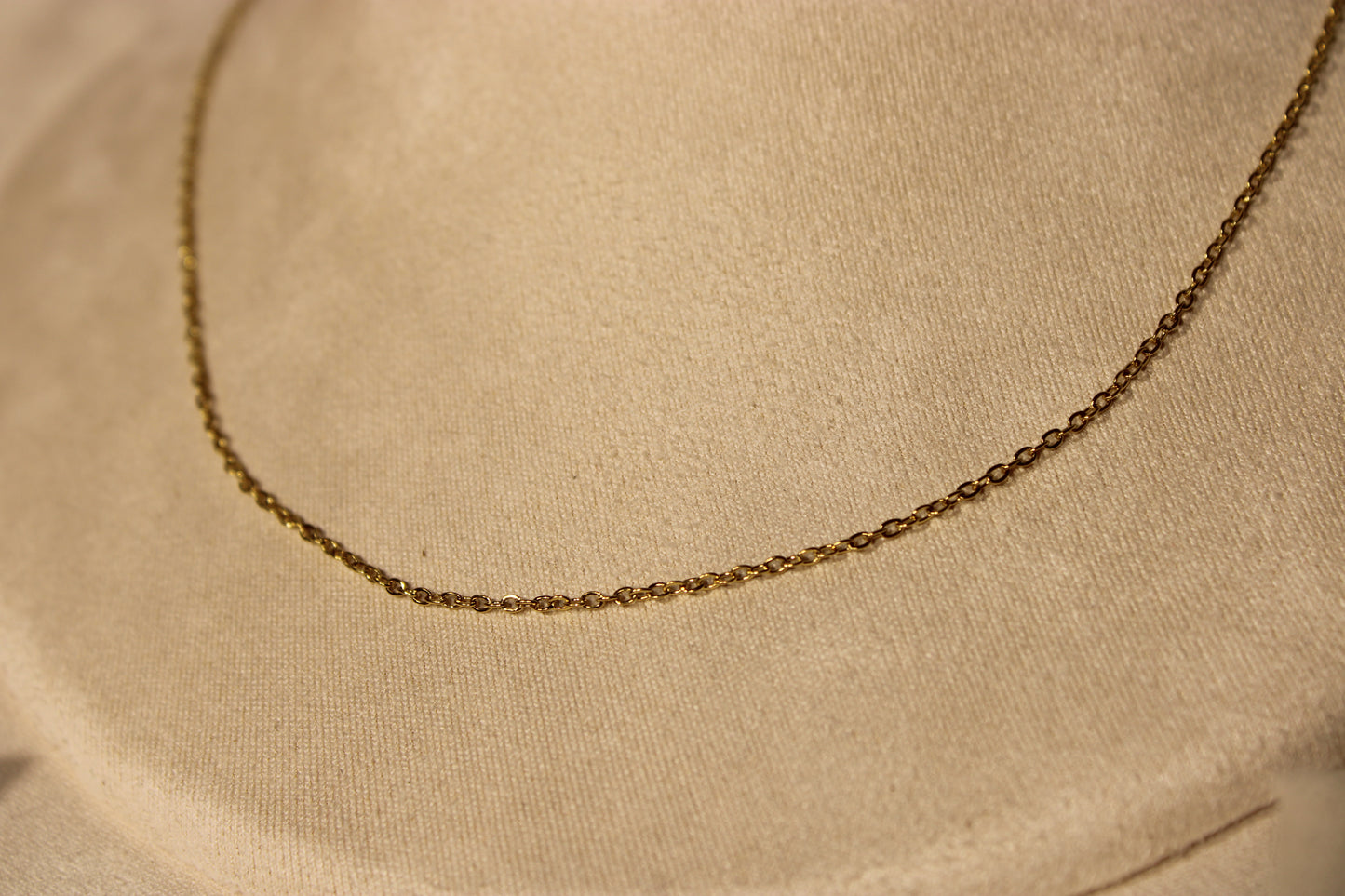 NEC3812-GOL Necklace Stainless Steel Gold Plated 40+5cm
