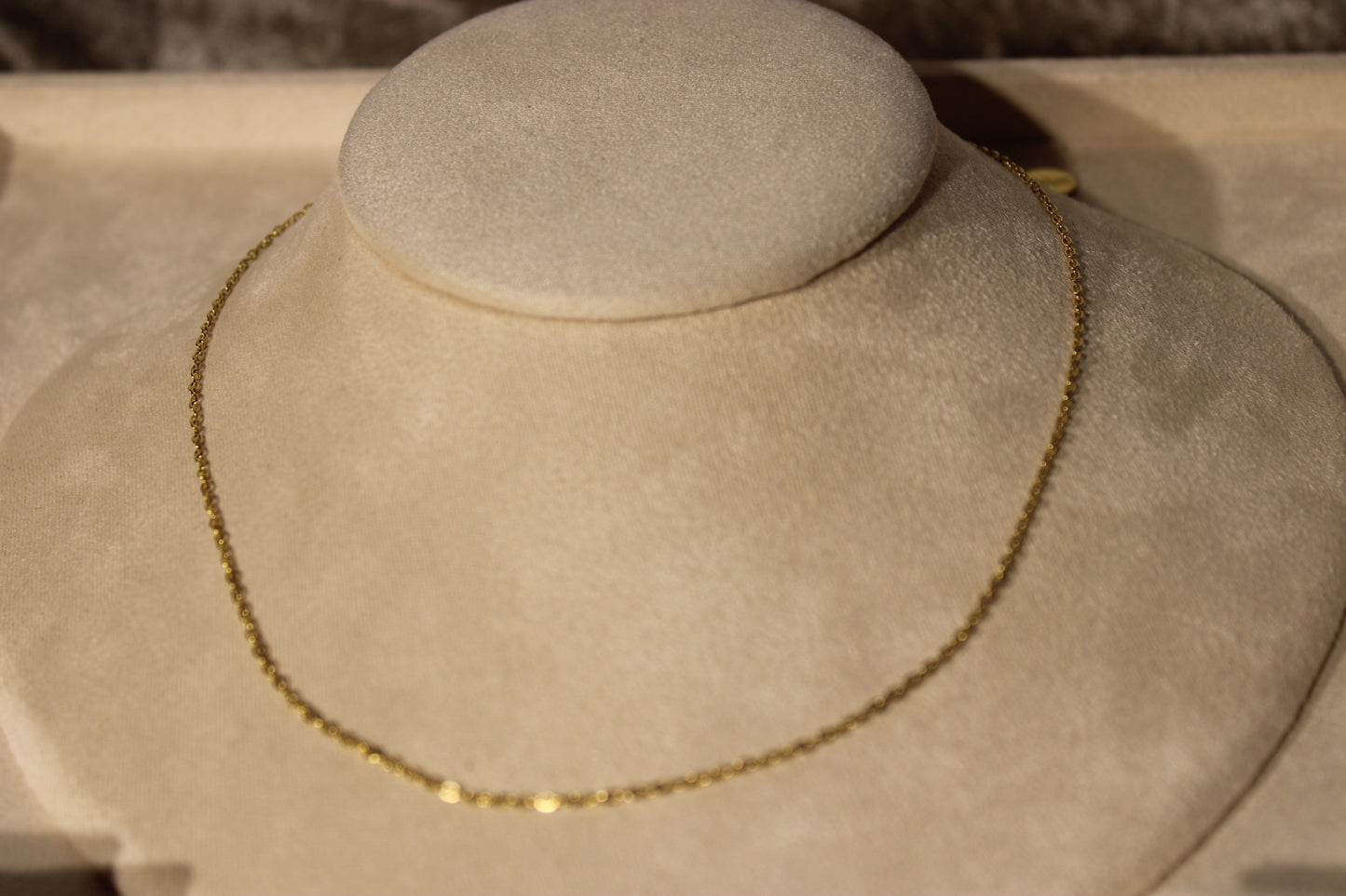 NEC3812-GOL Necklace Stainless Steel Gold Plated 40+5cm